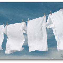 tinea versicolor sanitized laundry